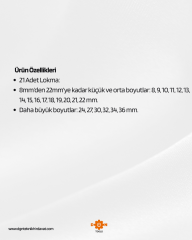 ARM PROFESSİONAL 21 Parça 1/2″ 12 Köşe Lokma Seti