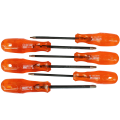 RICO 6 PARÇA PREMIUM DIAMOND TORX TORNAVİDA SETİ