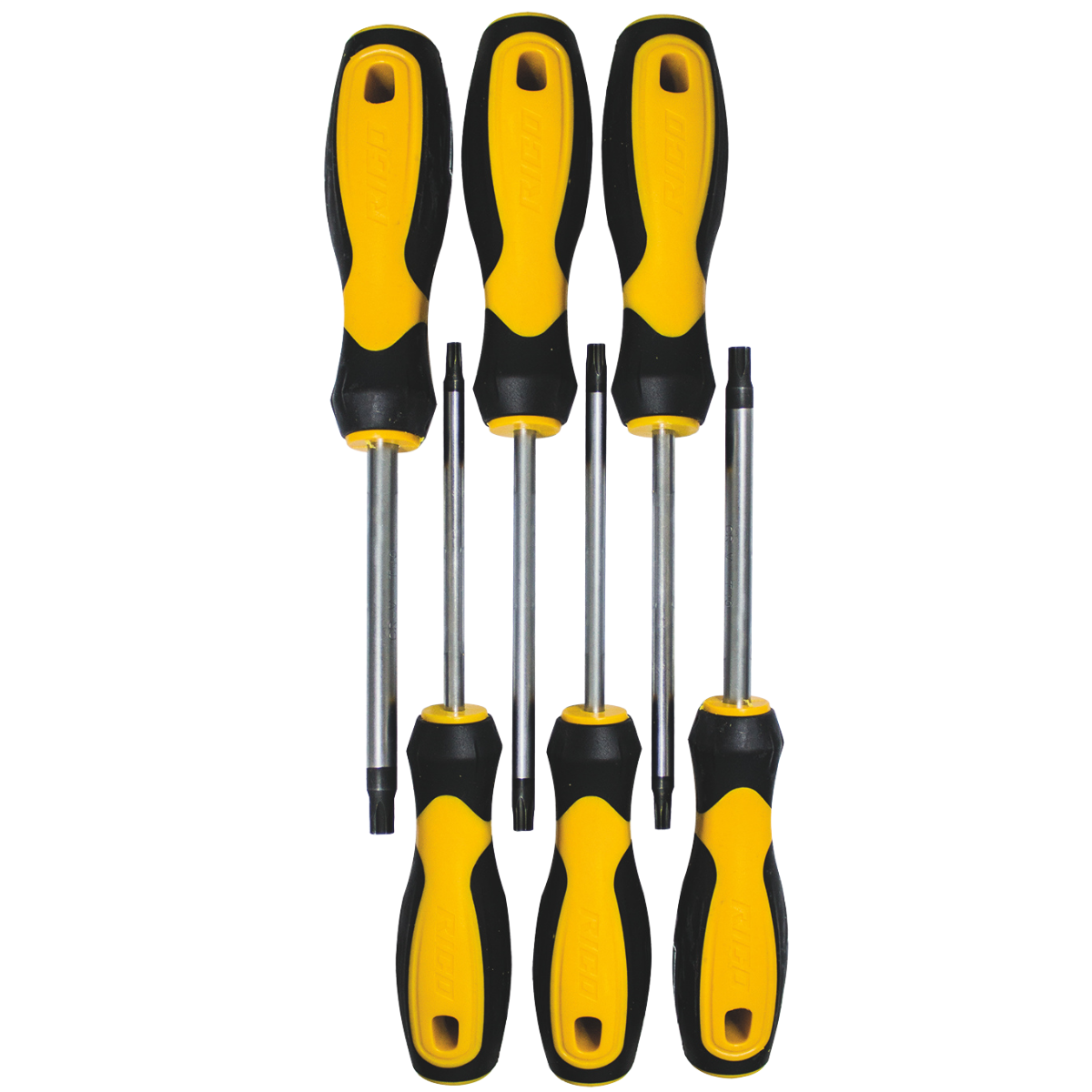 RICO 6 PARÇA TORX TORNAVİDA KLASİK SET